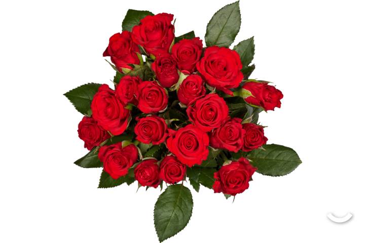 Miniroses Red