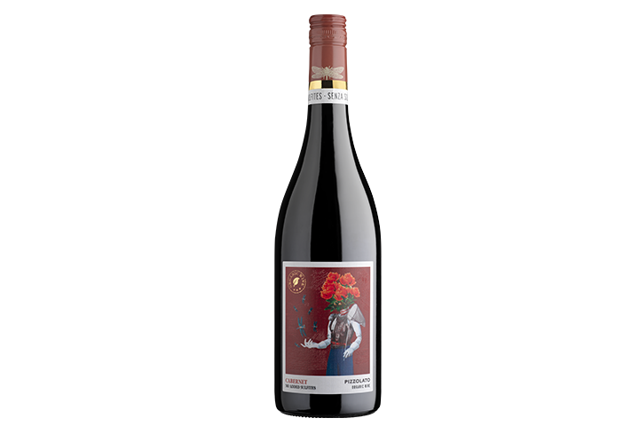 Cabernet Sauvignon DOC Venezia BIO 2022 - without sulfites