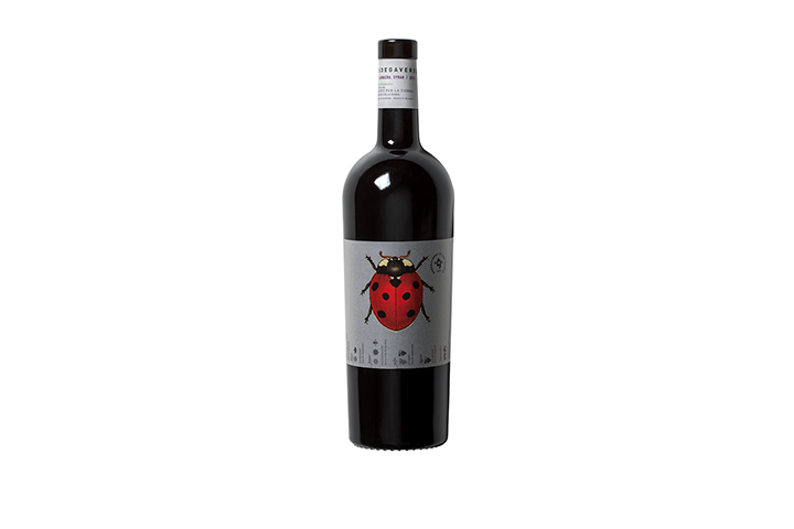 Garnacha – Syrah Cariñena DOP BIO 2020 – Bodegaverde