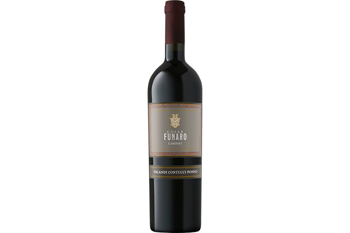 Cabernet Colli Aprutini IGT Colle Funaro 2013