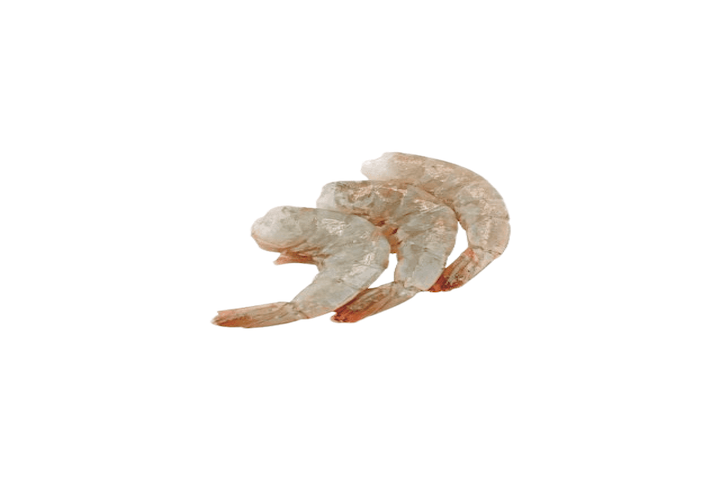 Crevettes 36/40 ( full clean) origine equation
