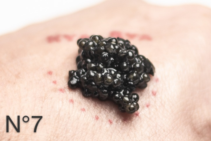 Siberian Sturgeon Baeri N°7 - Pearls of Selenga Origin: France 