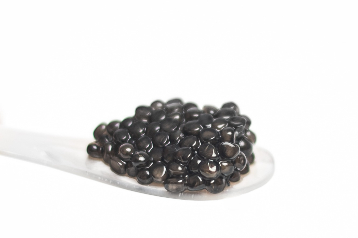 Siberian Sturgeon Baeri N° 22 - Pearls of Aragon Origin: Spain