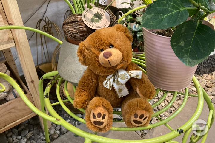 Brown Teddy Bear