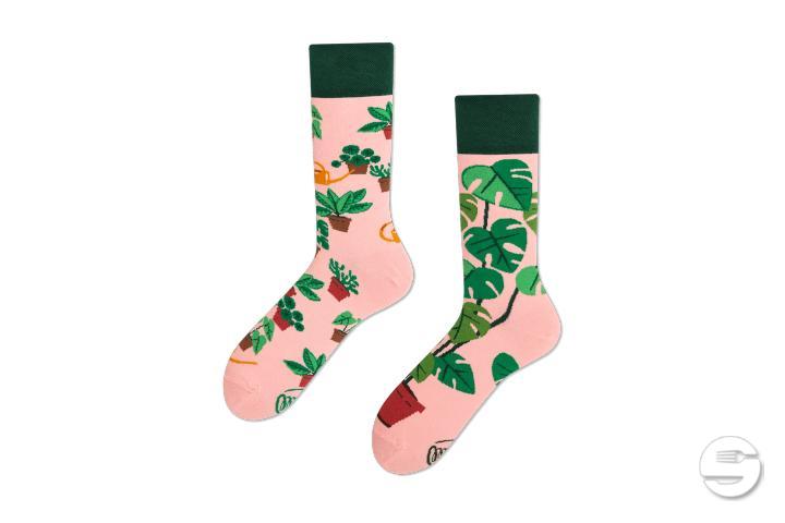 Plant Lover