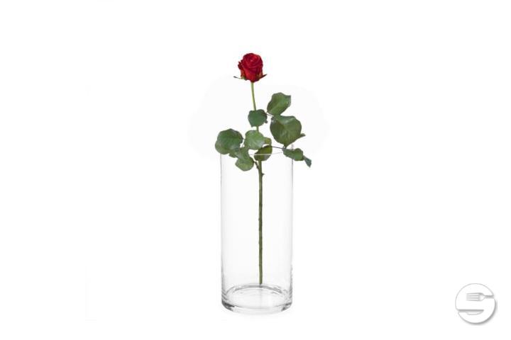 Red Rose
