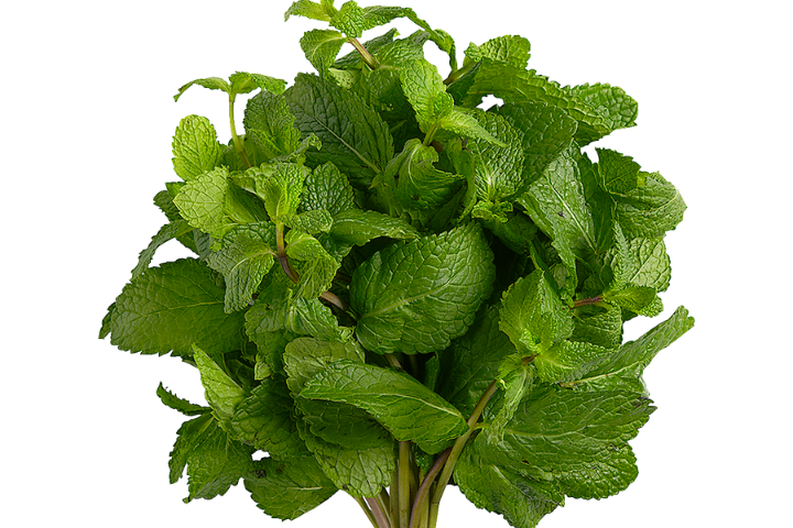 botte de menthe