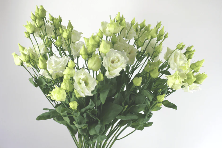 Bouquet de lysianthus
