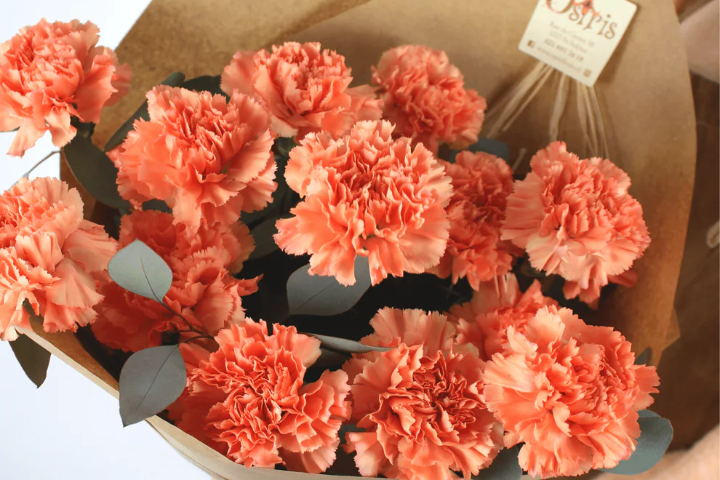 Bouquet d'oeillets