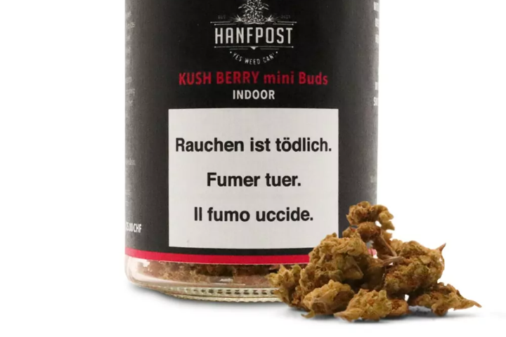 HANFPOST Hanfpost - Kush Berry - Mini Buds - 20g