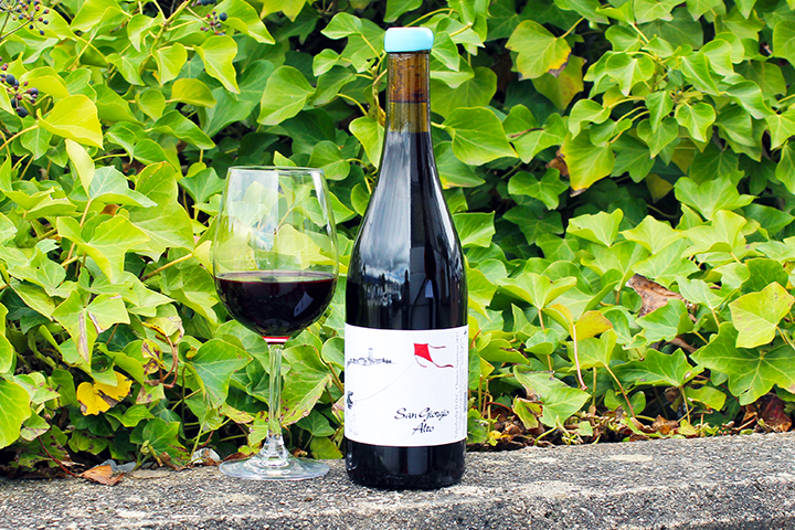 Valpolicella Superiore DOC San Giorgio Alto 2017 - Monte Dall’Ora
