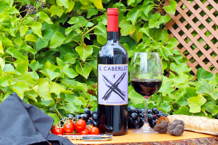 Toscana IGT Carnasciale 2021 - Podere Il Carnasciale
