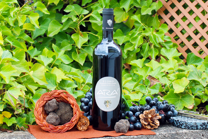 Eloro DOC Nero d'Avola Ara 2016 - Felice Modica