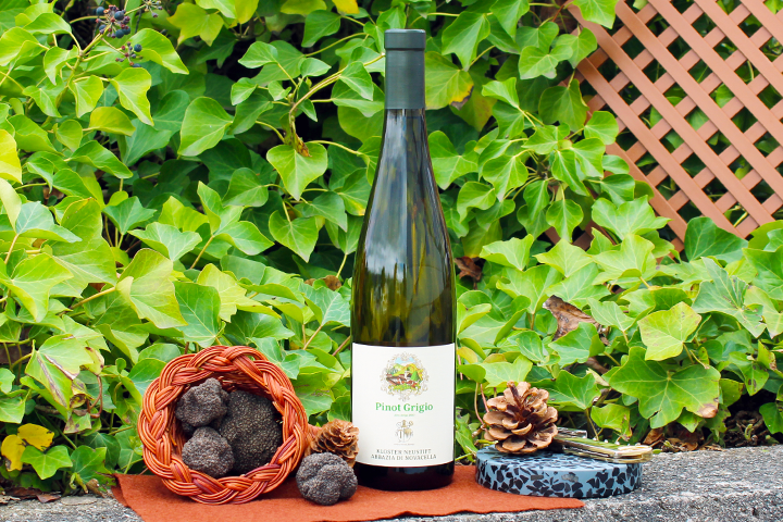 Alto Adige DOC Pinot Grigio 2023 - Kloster Neustift