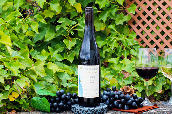 Dole AOC Valais 2018 - Domaine de Beudon