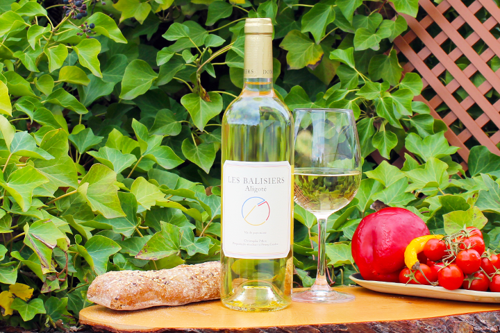 Aligoté 2023 - Domaine des Balisiers