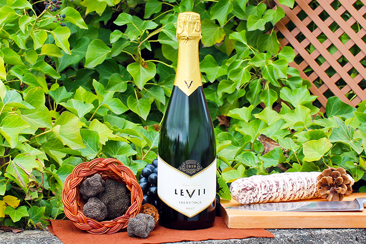 Trento DOC Brut Millesimato 2020 (Blanc de Blanc) - LEVII