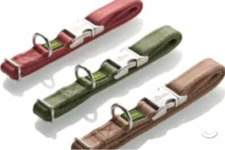 Hunter Inari "Beige" collar, leash option, any size