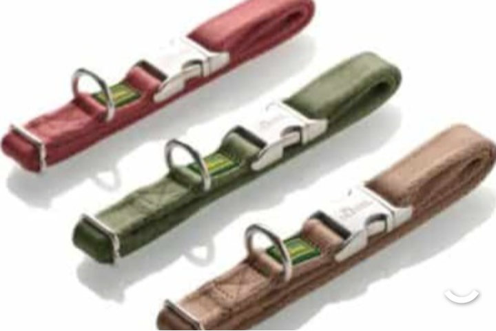 Hunter Inari "Green" collar, leash option, any size