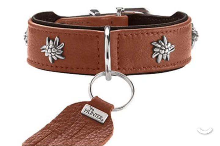 Hunter edelweiss collar, leash option, any size