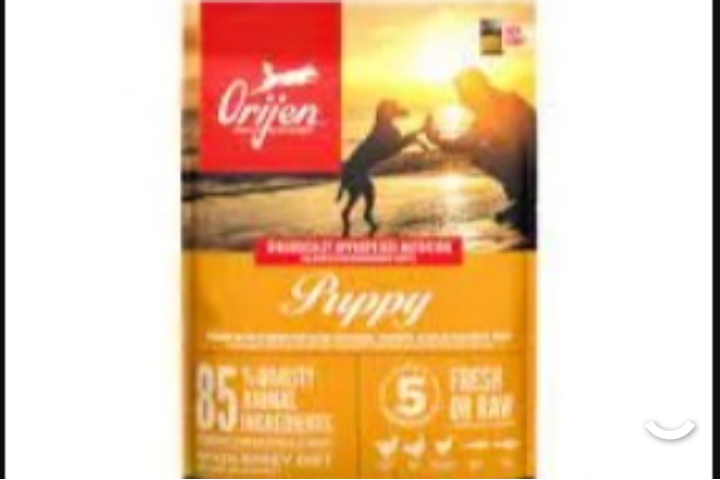 Orijen Dog Puppy