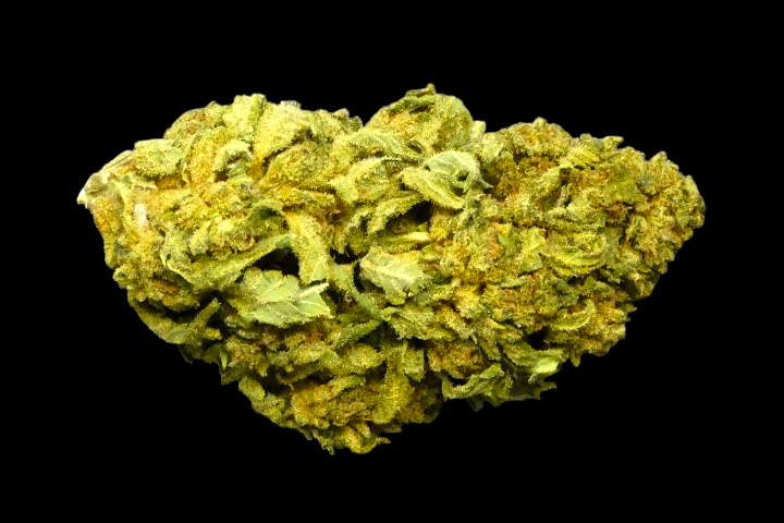 OG Kush Indoor